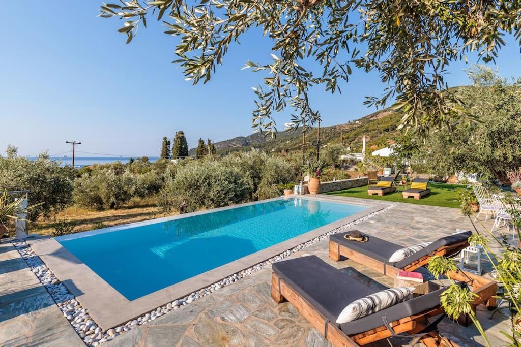 Skopelos Blue Heaven Pool Villa In Olive Grove Екстер'єр фото