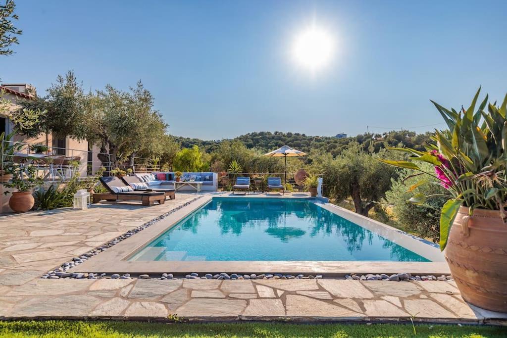 Skopelos Blue Heaven Pool Villa In Olive Grove Екстер'єр фото