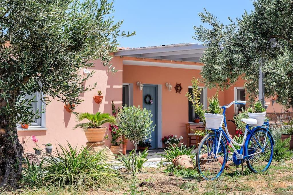Skopelos Blue Heaven Pool Villa In Olive Grove Екстер'єр фото