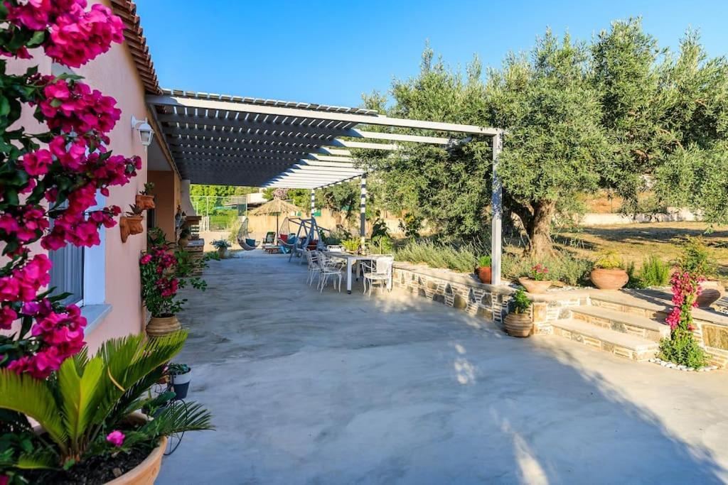 Skopelos Blue Heaven Pool Villa In Olive Grove Екстер'єр фото